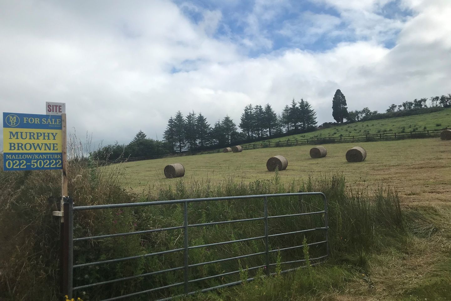 Toureenagrena, Rockchapel, Co. Cork