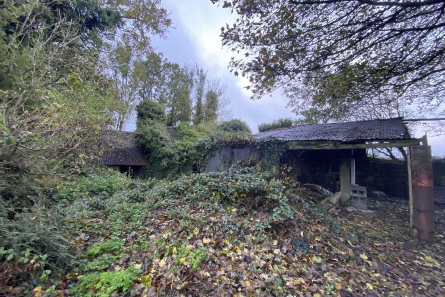 Ballysallagh (Derelict Res. & C. 3 Acres), Hacketstown, Co. Carlow