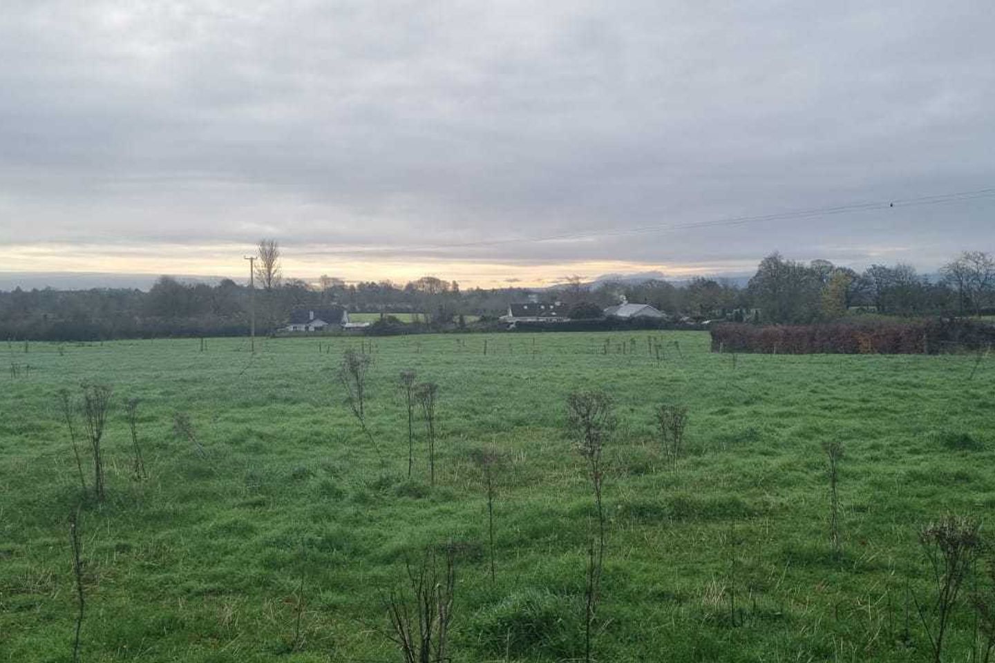 2 x 3.5 acres Sites SPP, Palatine, Co. Carlow, R93N7D2 is for sale on Daft.ie