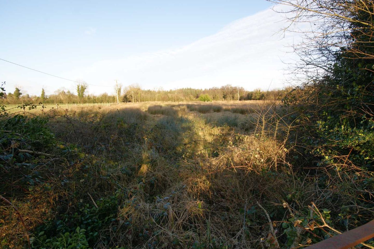 Ballinlass, Mountbellew, Mount Bellew, Co. Galway
