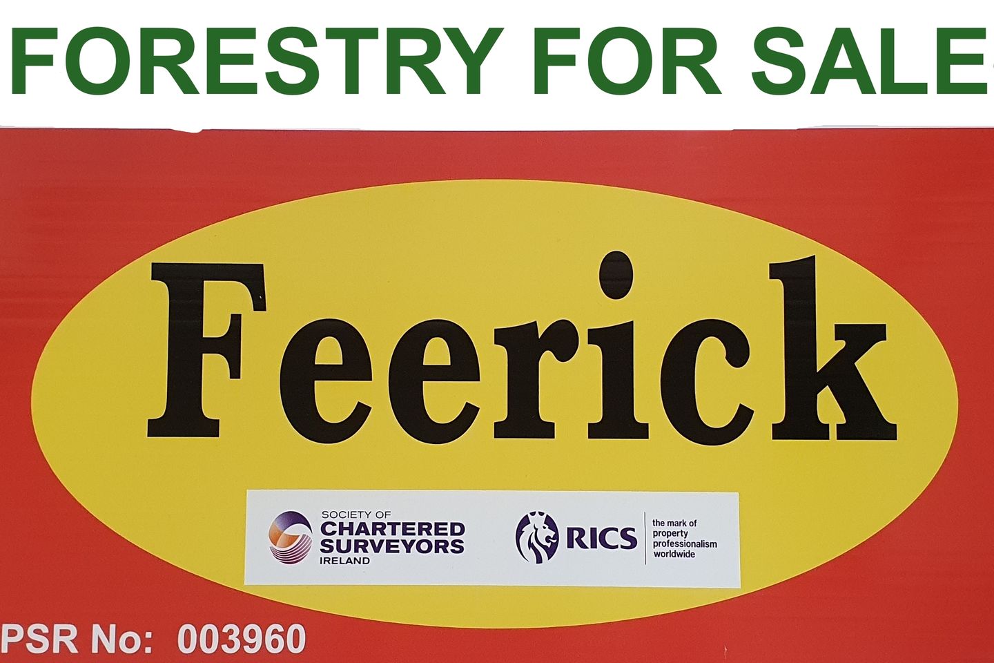 Commercial property for sale in Clooncormick, Hollymount, Co. Mayo