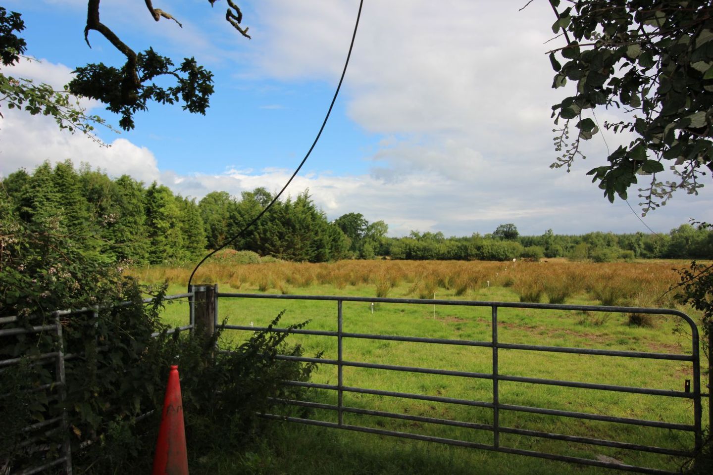 Limerick Road, Newport, Newport, Co. Tipperary, V94W60P