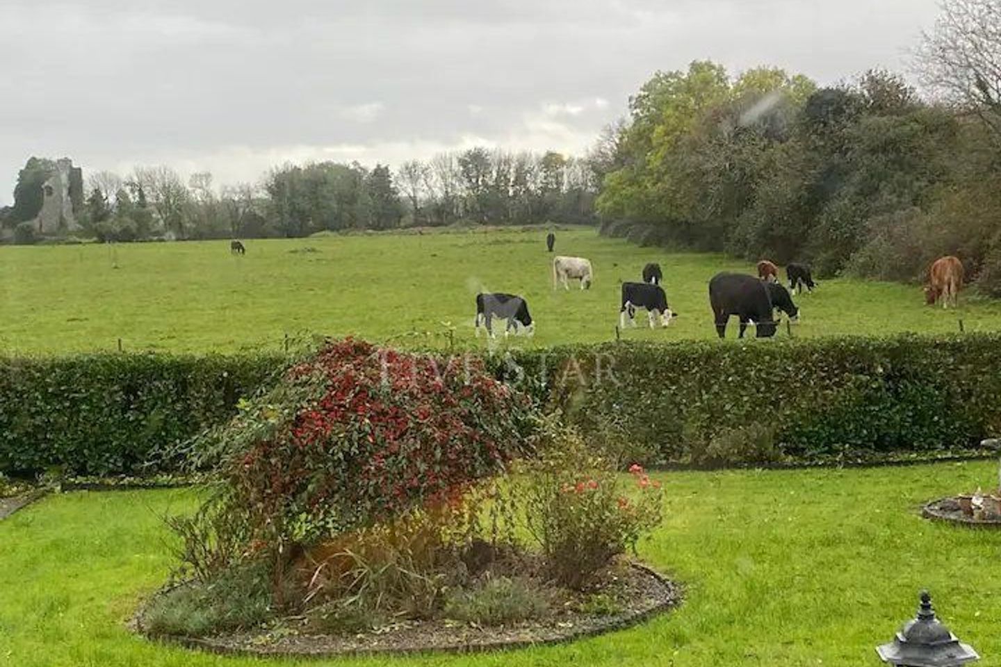 Whitimore, Ballinduff, Corrandulla, Co. Galway