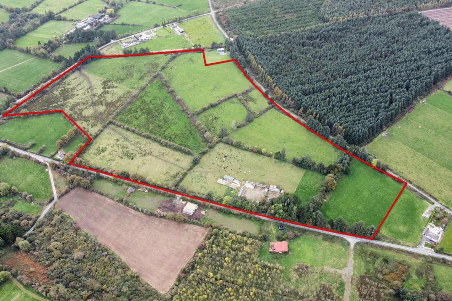 Quitrent, Kildorrery, Co. Cork, P67N127