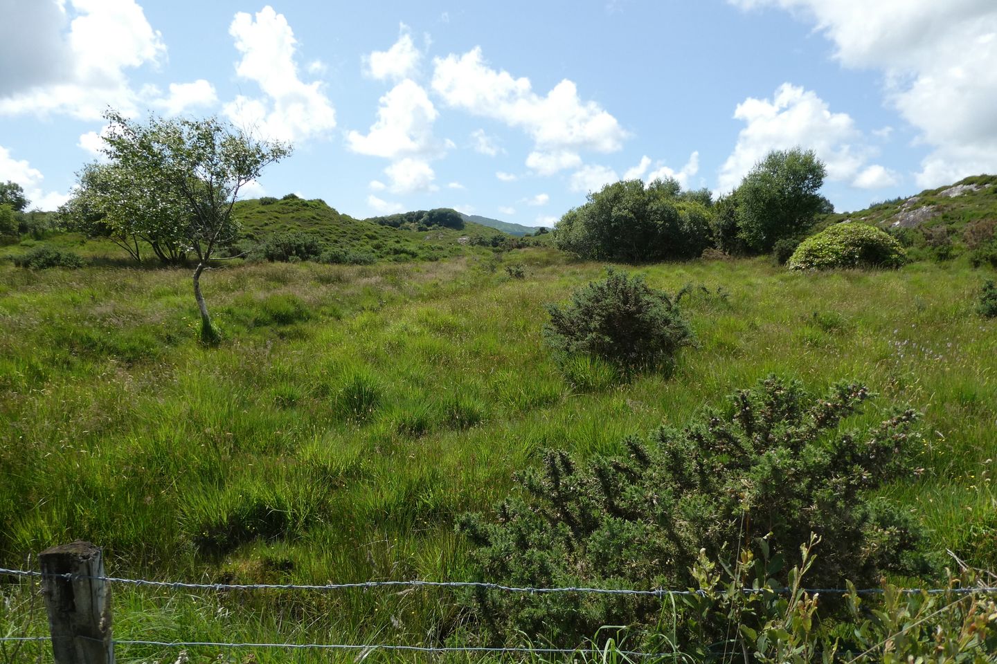 Commercial property for sale in Lomanagh South, Sneem, Co. Kerry