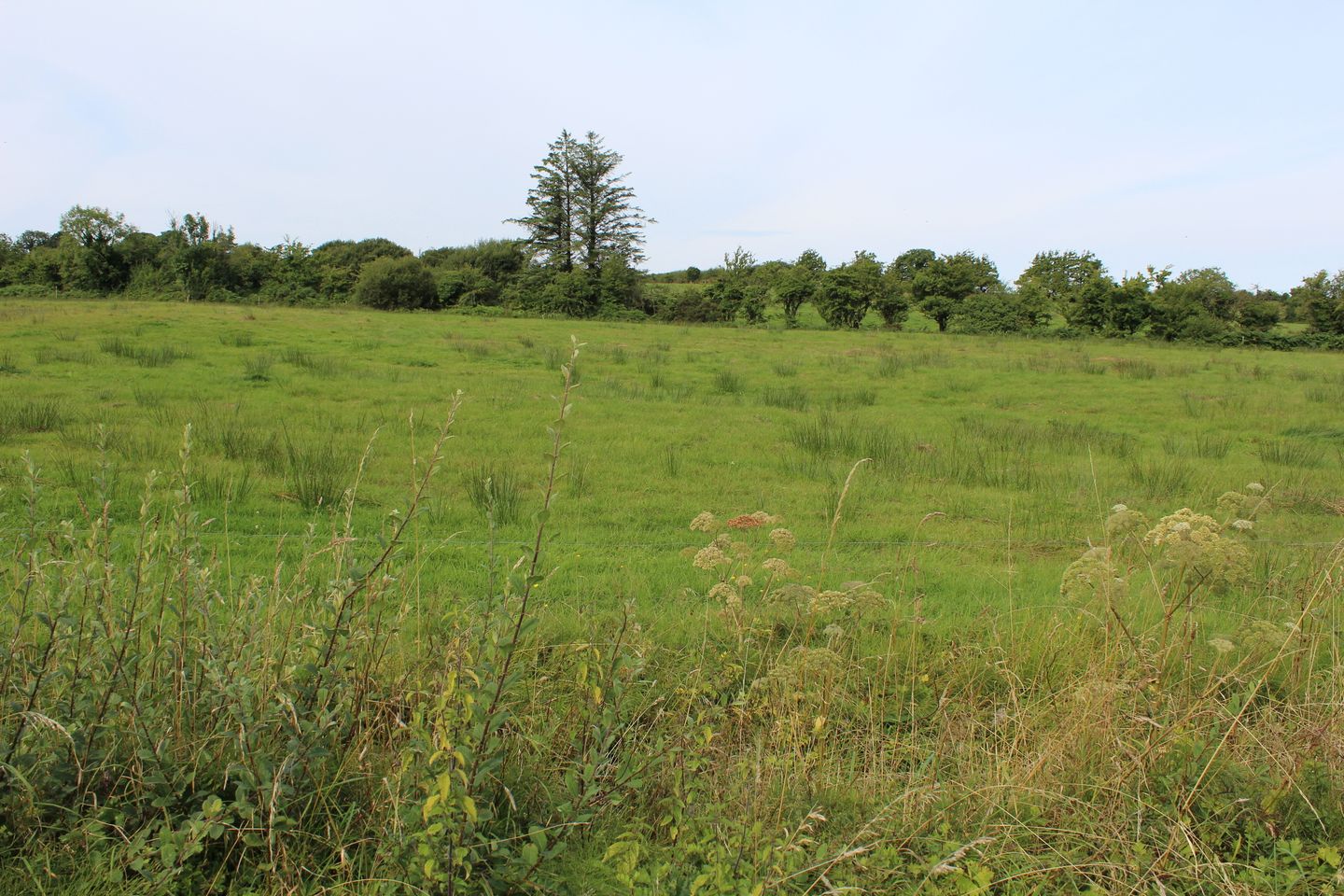 Dromtrasna Collins, Abbeyfeale, Co. Limerick is for sale on Daft.ie