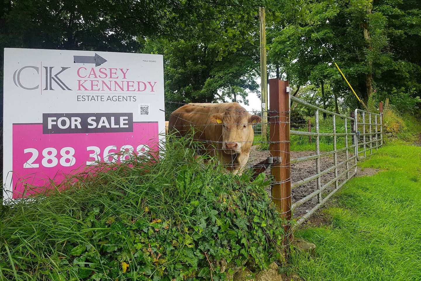 Ballymaconey, Rathdangan, Co. Wicklow, W91R821 is for sale on Daft.ie