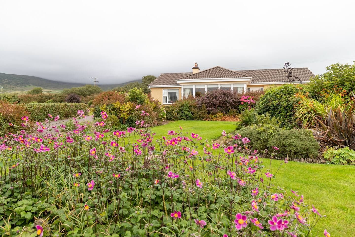 Leaca Bhán, Ballyhea, Dingle, Co. Kerry, V92KY00 is for sale on Daft.ie