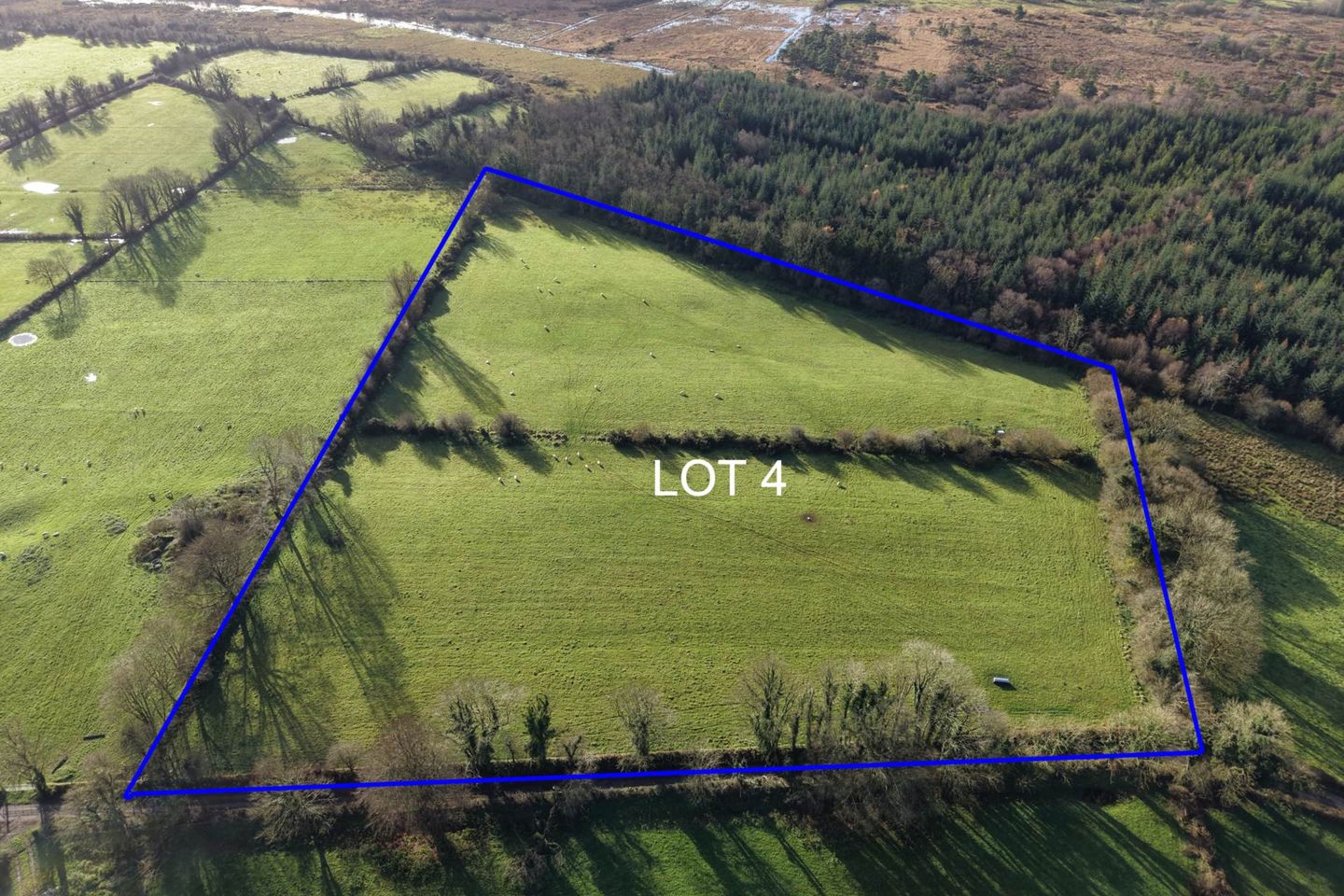 Lot 4 -  C. 8.57 Acres, Cloonca, Mount Talbot, Co. Roscommon