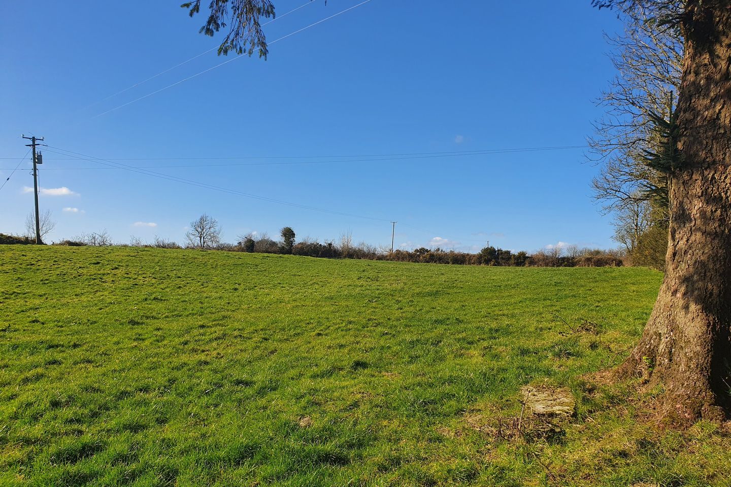 Brackloon, Ballyhaunis, Co. Mayo is for sale on Daft.ie