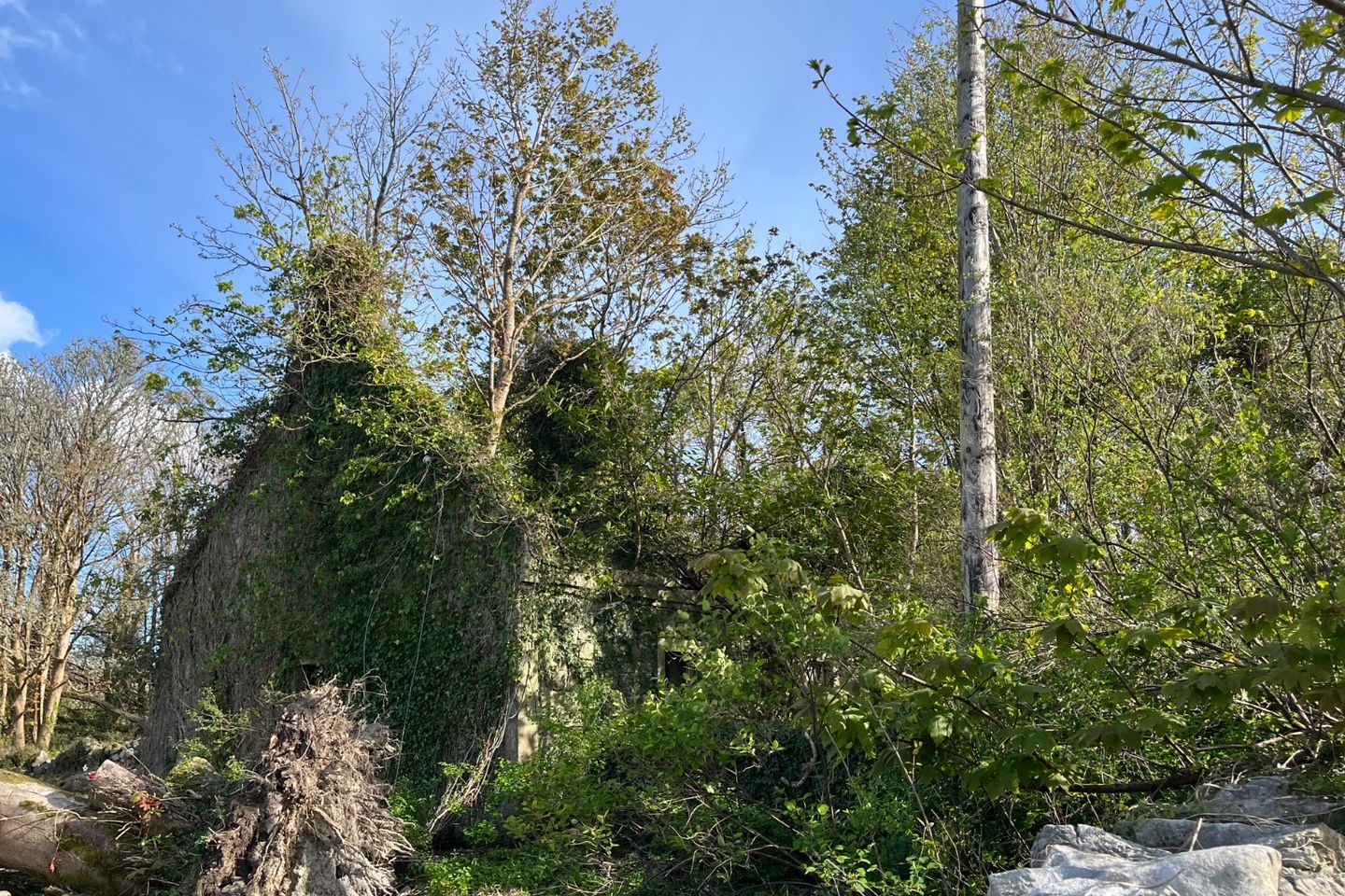 Burnthouse, Rosscahill, Co Galway, Rosscahill, Co. Galway