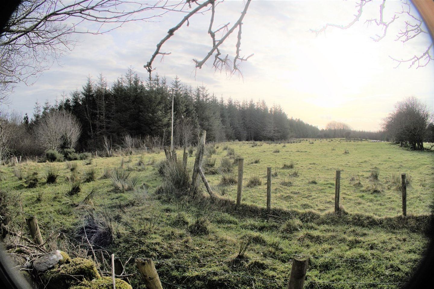 c. 38 acres Forestry, Killadeer, Ballyheane, Castlebar, Co. Mayo