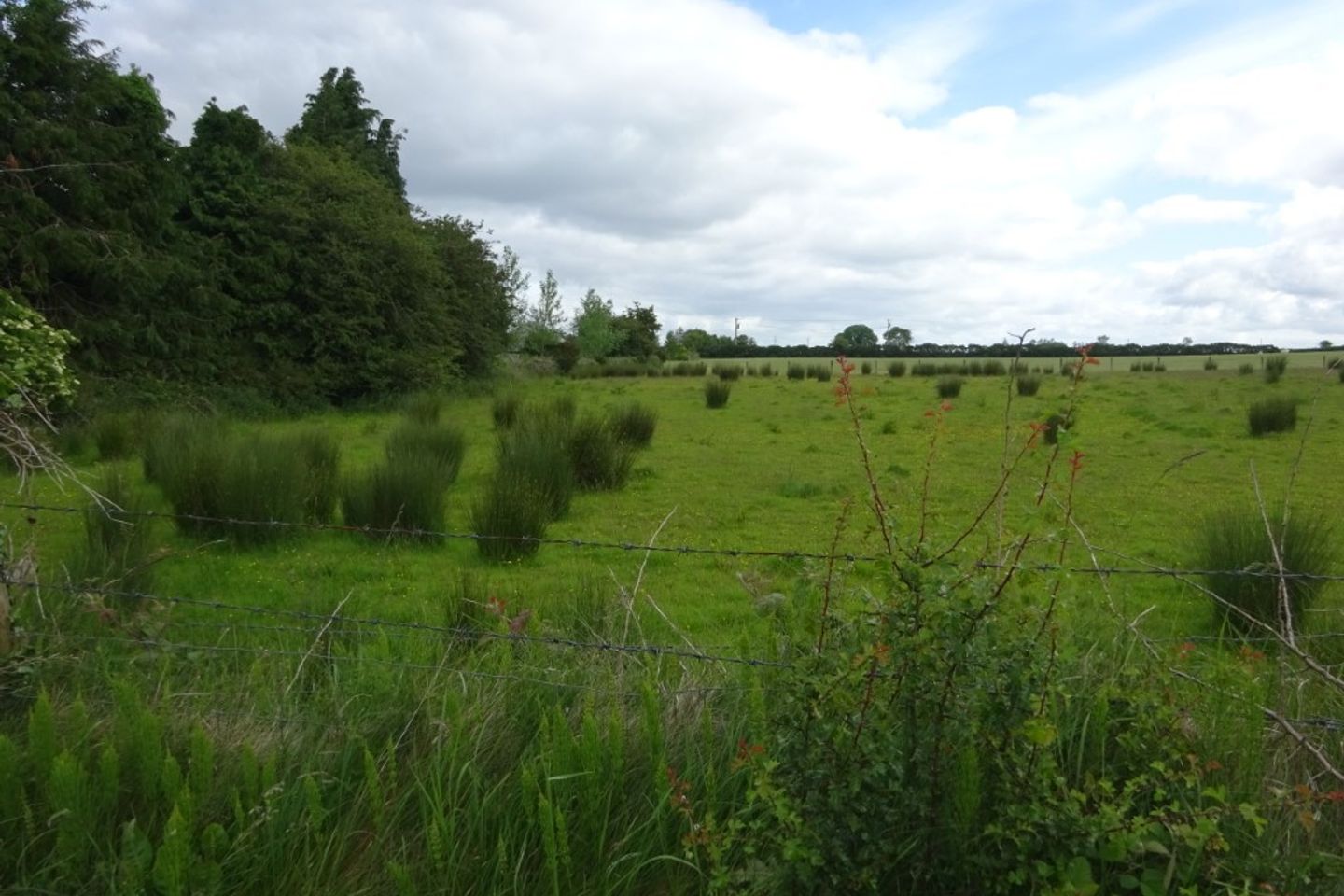 Ballynahattina, Mountbellew, Co. Galway is for sale on Daft.ie