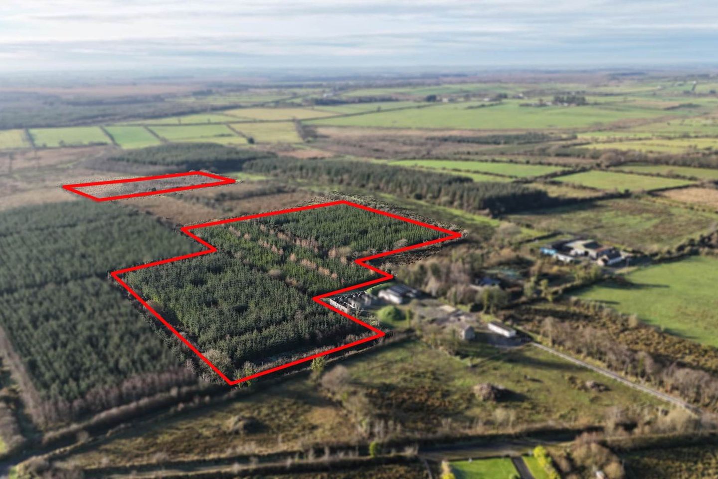 12.3 ACRES (approx) OF PRIME GROWING FORESTRY LOCATED AT LANAMARLA, Ballymoe, Co. Galway