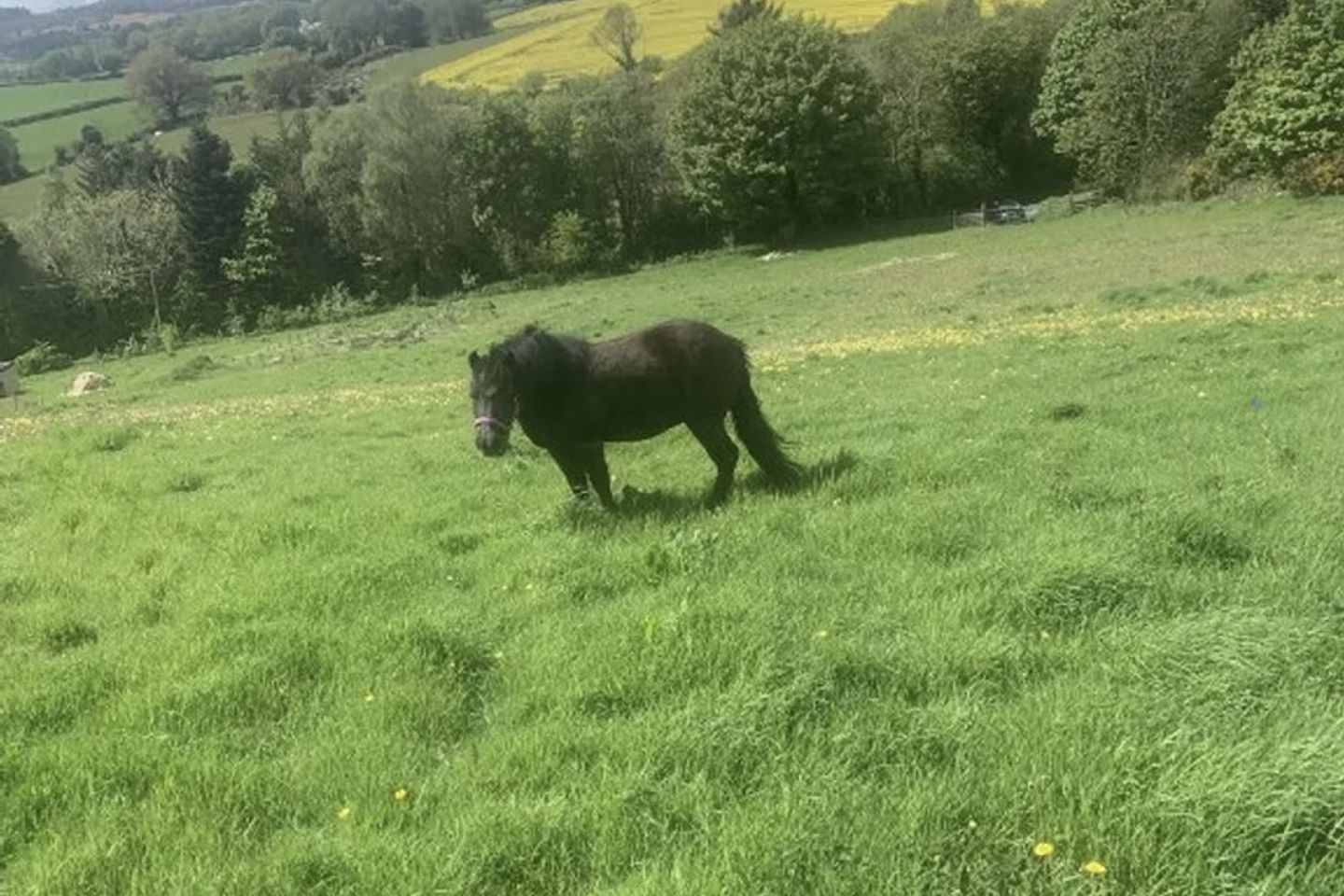 Commercial property for sale in Knockanree Upper, Avoca, Co. Wicklow