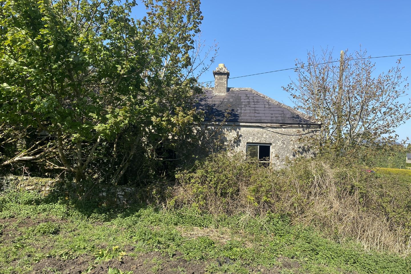 Commercial property for sale in Newtown Clogher Castlebar, Clogher, Co