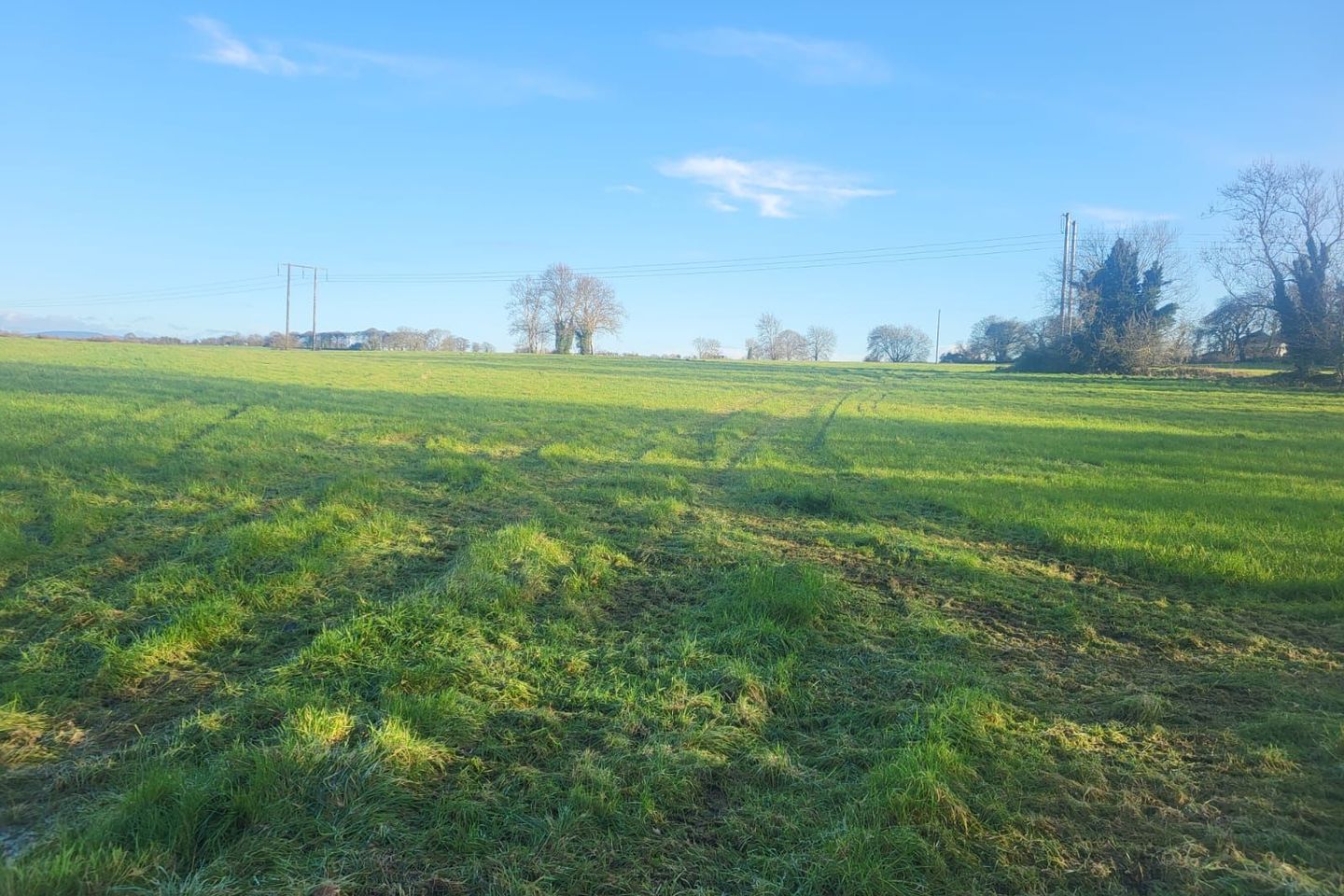 Ballysheedy, Ballysheedy, Co. Limerick