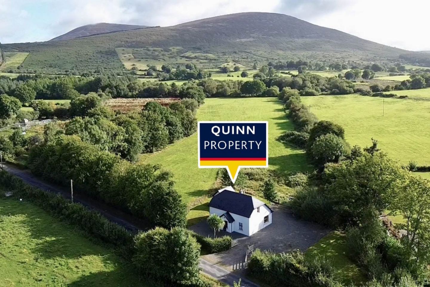 Graigue, Kiltegan, Co. Wicklow, W91F8P8