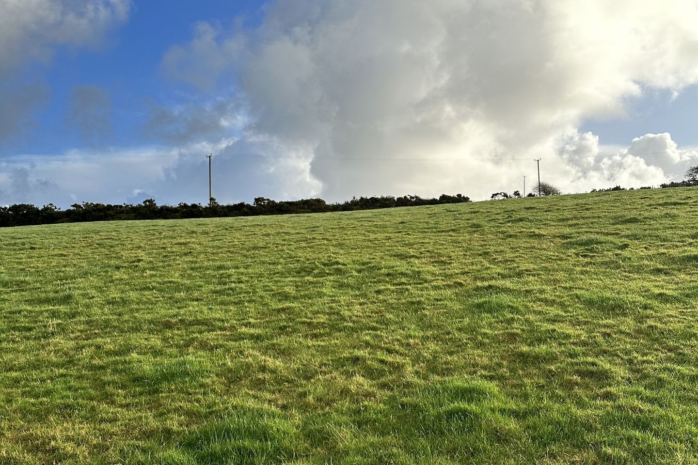 Commercial property for sale in Bhanog Bheag, Lispole, Co. Kerry