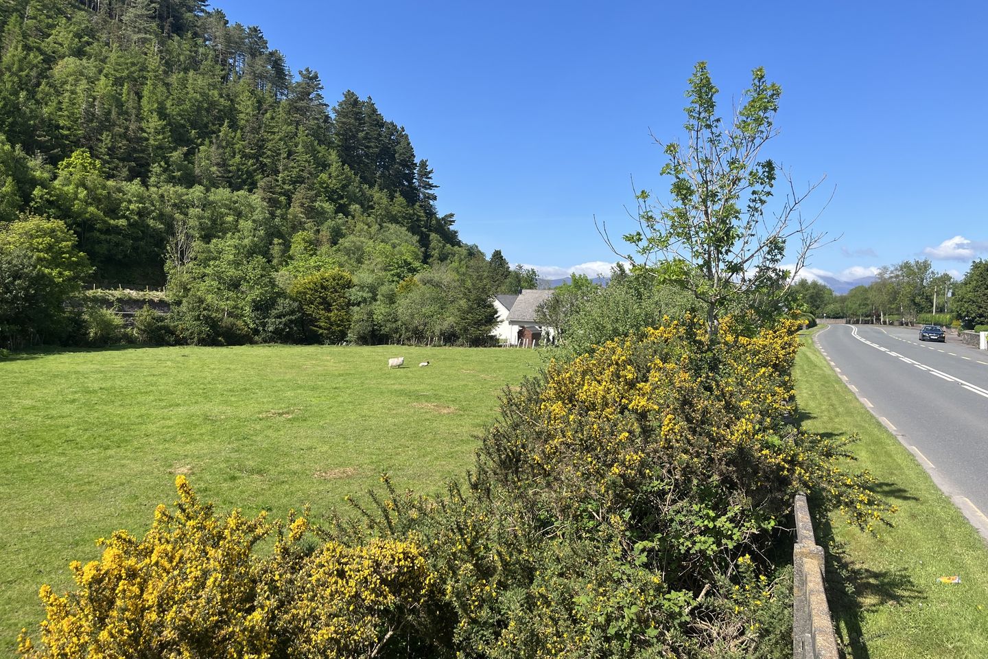 Commercial property for sale in Keelnabrack Upper, Glenbeigh, Co. Kerry