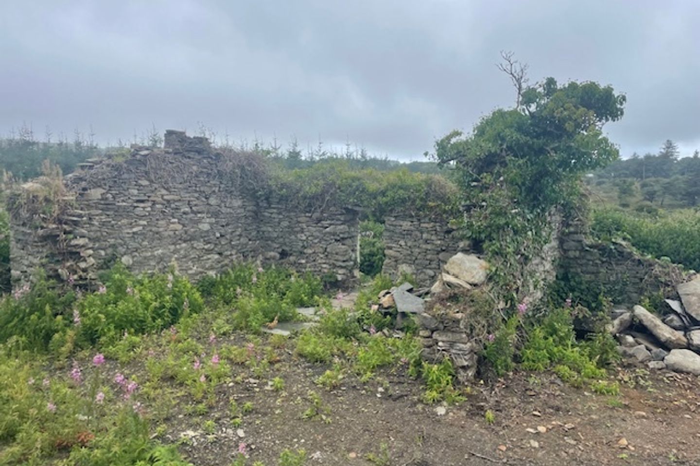 Fahamore, Miltown Malbay, Co. Clare, V95V0R9