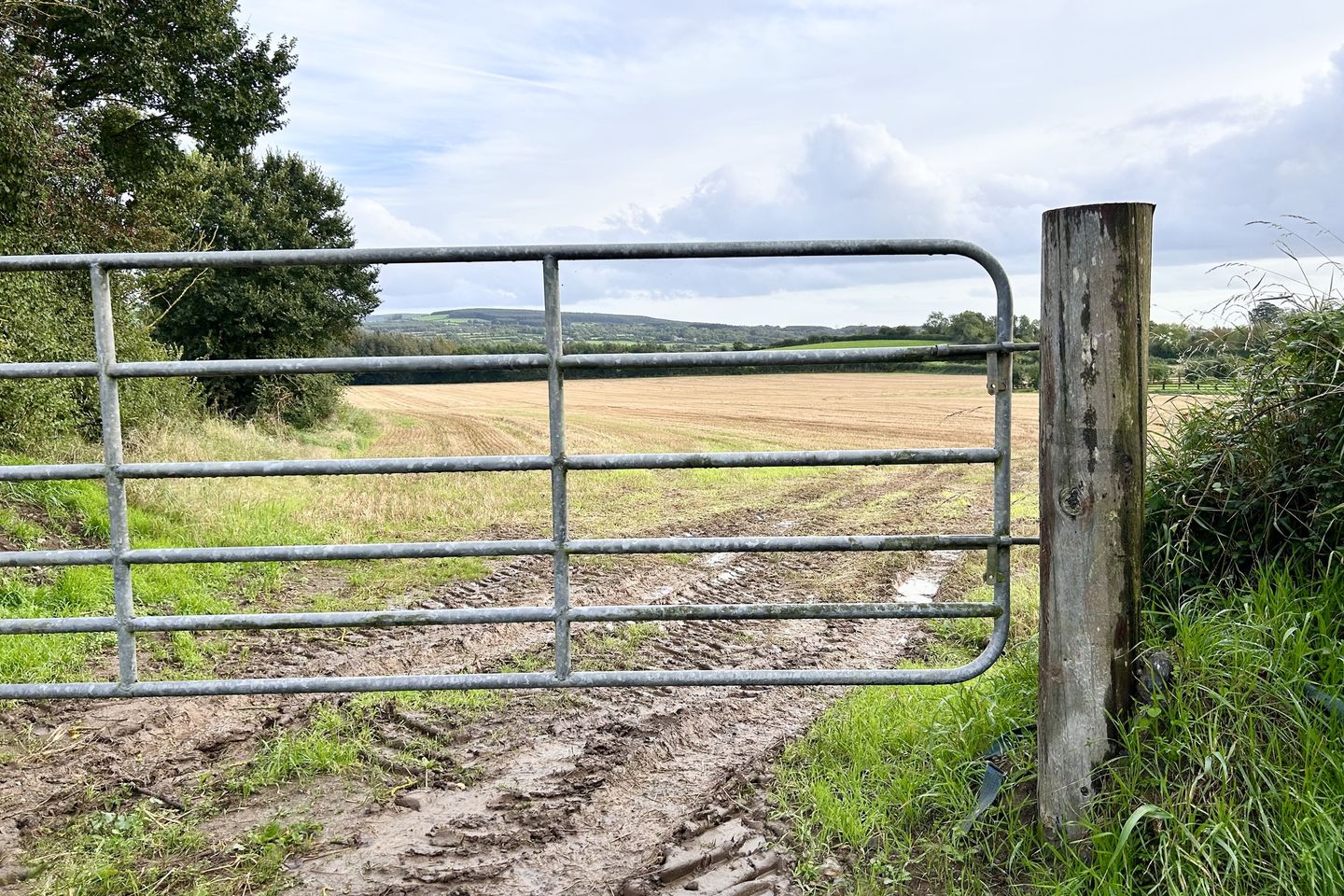 Commercial property for sale in Gowran, Dungarvan, Co. Kilkenny