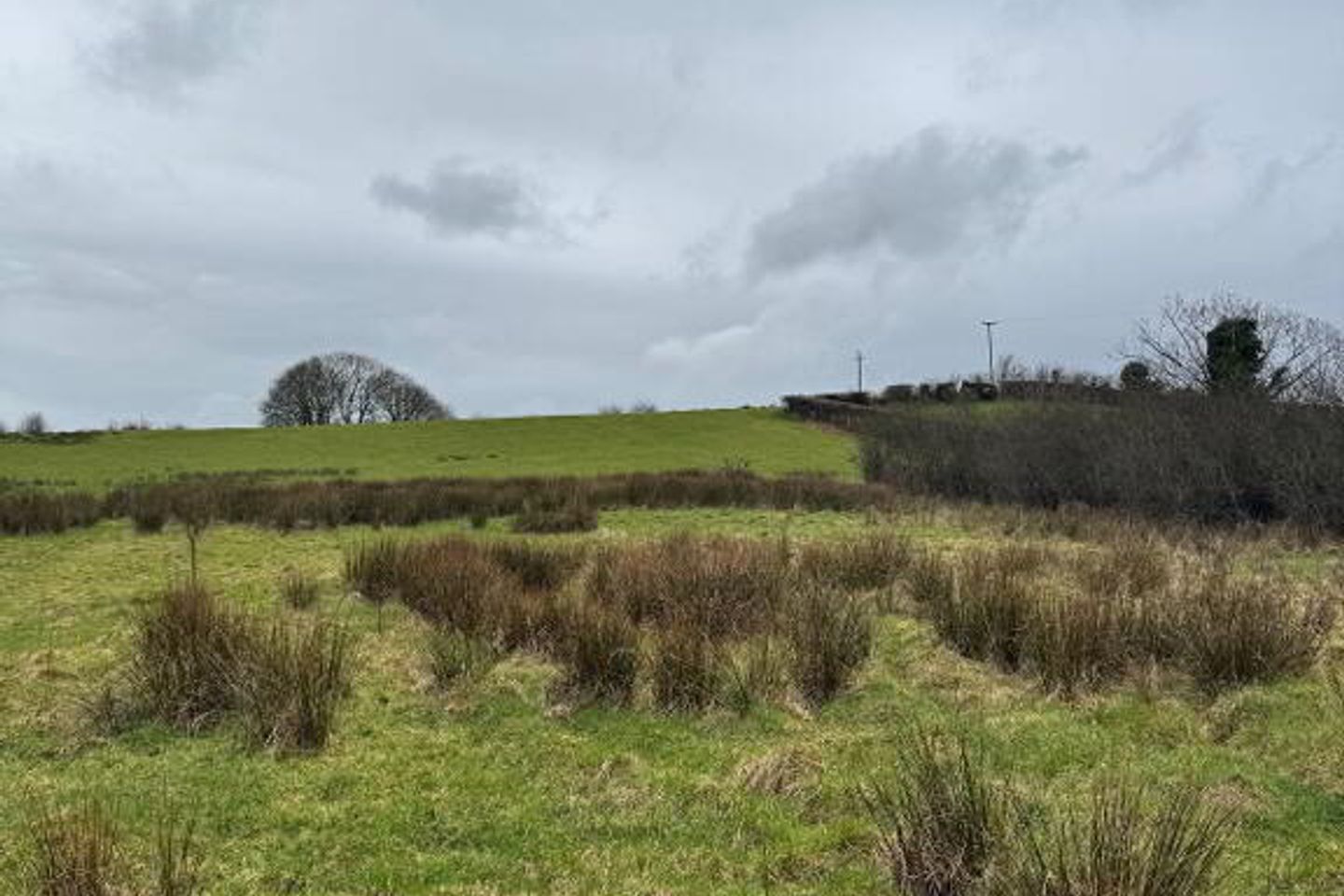 Toneneave,, Maghercloone, Carrickmacross, Co. Monaghan