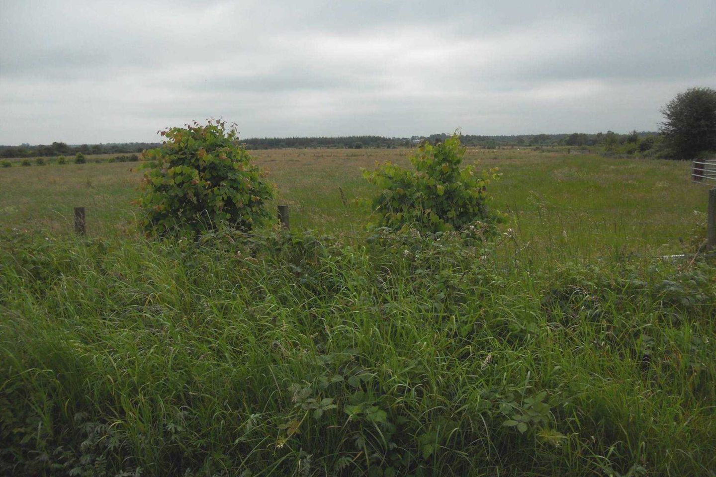 Commercial property for sale in Caltra, Ballinasloe, Co. Galway