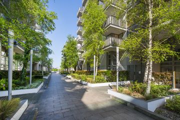 Property header