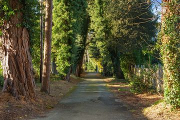 Property Header