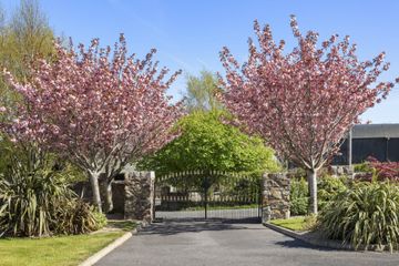 Property Header