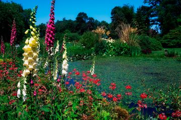 Property Header