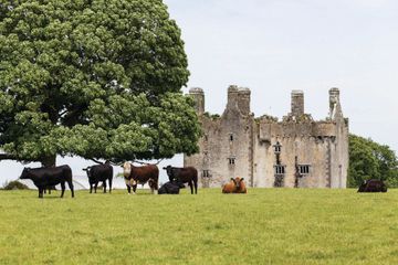 Property header
