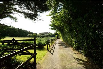 Property header