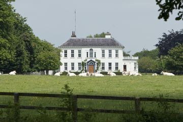 Property header
