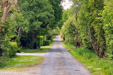 Property header