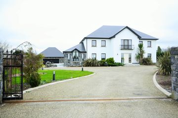 Pine Field, Ballynabucky, Kilcolgan, Co. Galway