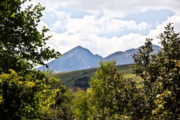 Property header
