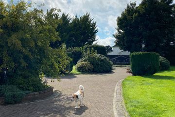 Property header