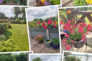 Property Header