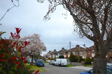 Property header