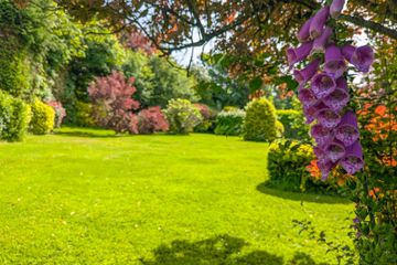 Property Header