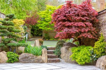 Property header