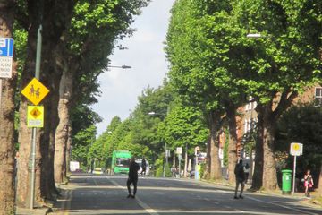 Property Header