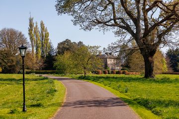 Property Header