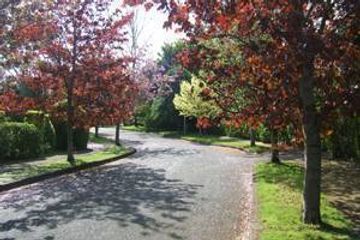 Property header