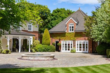 Property Header