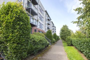 Property header