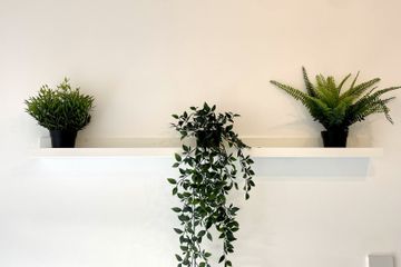 Property Header