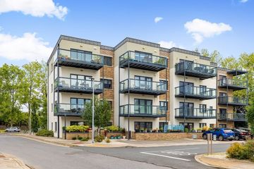 Property Header